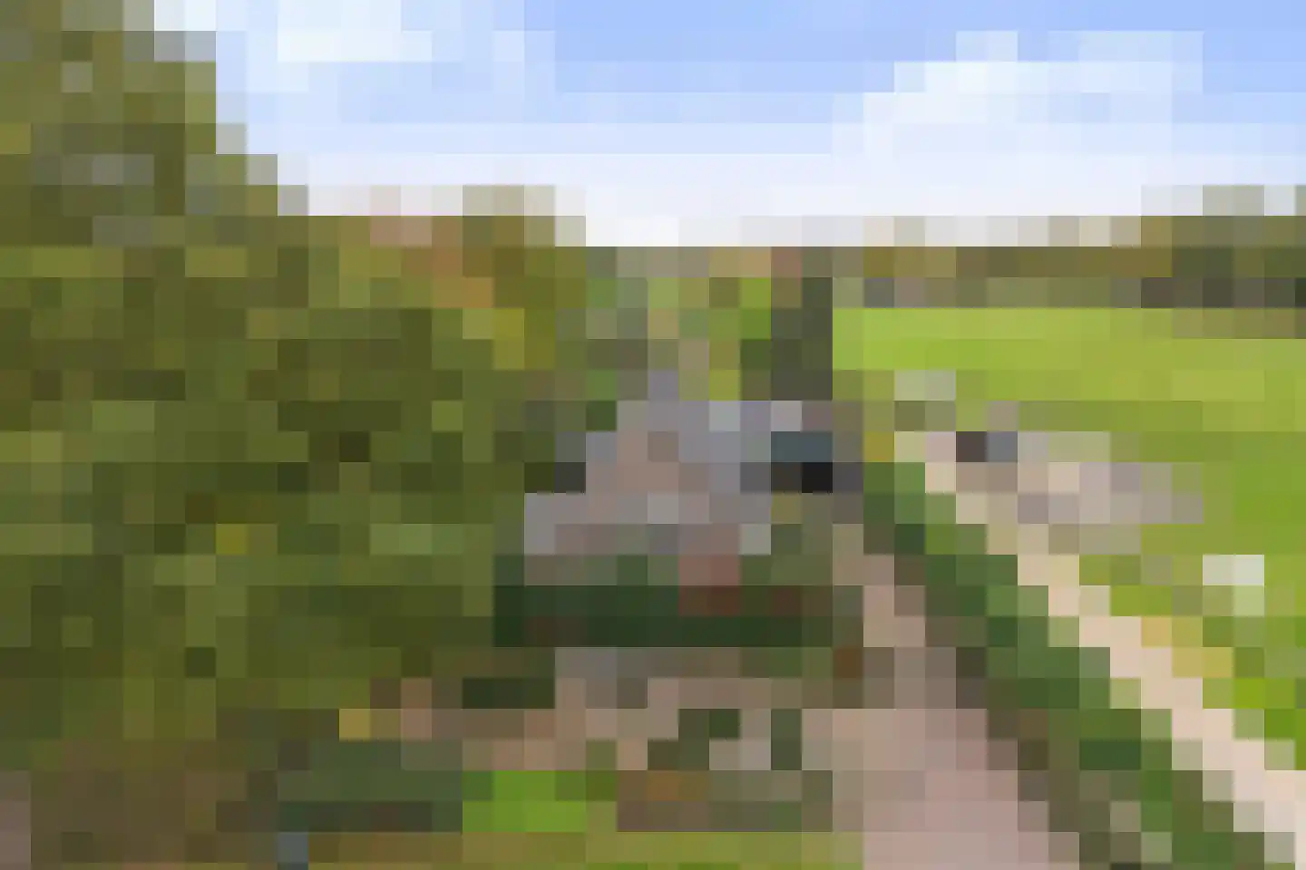Oude Apeldoornseweg 7 Beekbergen thumbnail 4
