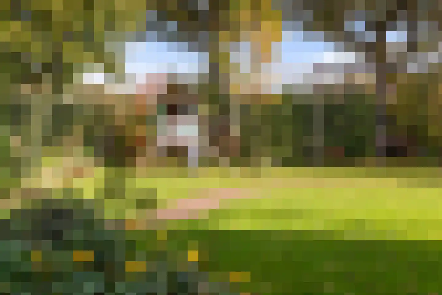 Oude Apeldoornseweg 7 Beekbergen thumbnail 51