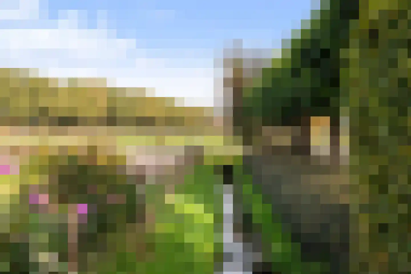 Oude Apeldoornseweg 7 Beekbergen thumbnail 56