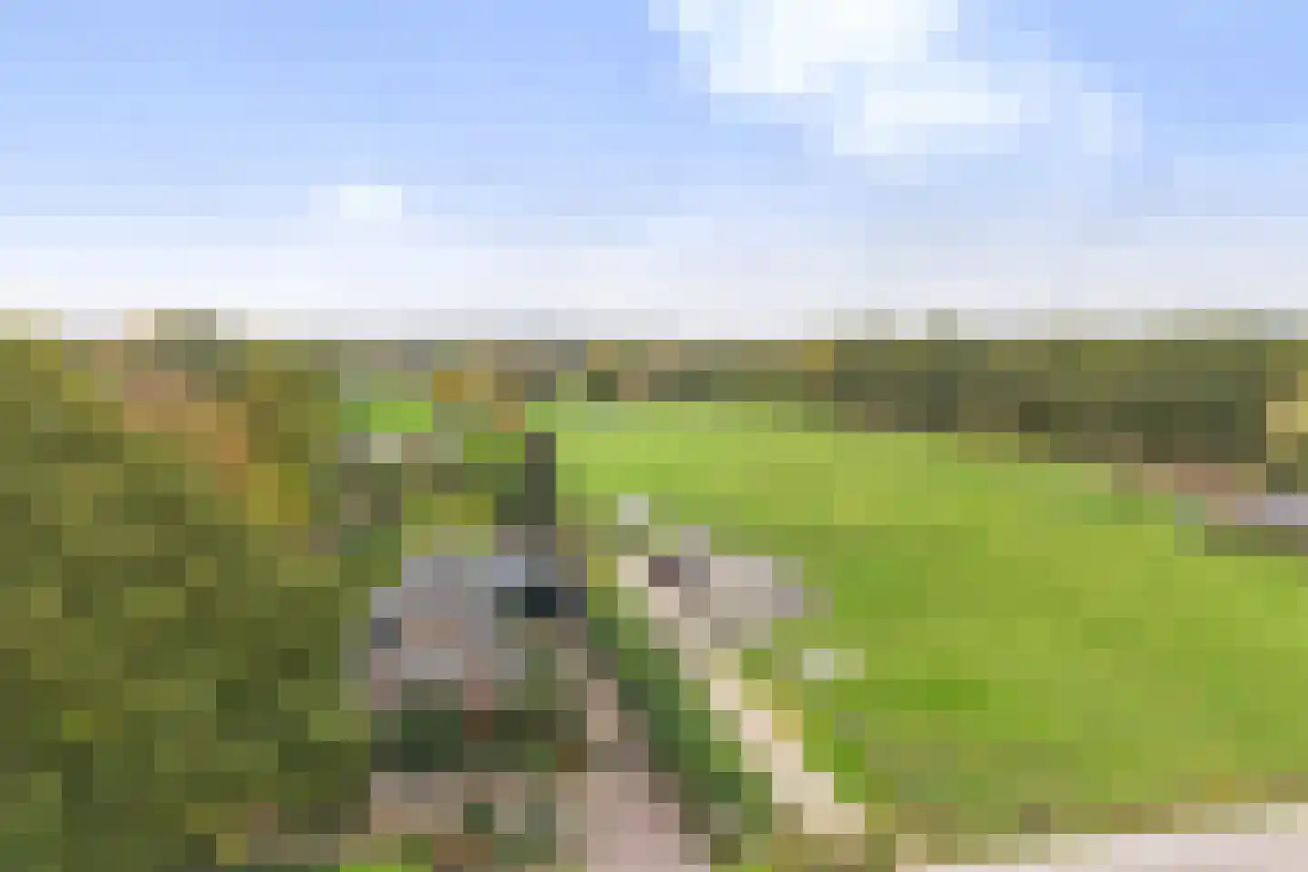 Oude Apeldoornseweg 7 Beekbergen thumbnail 6