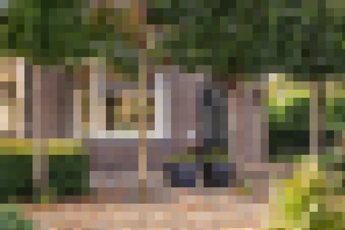 Oude Apeldoornseweg 7 Beekbergen thumbnail 9