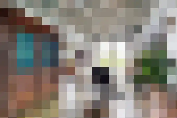 Oude Appelaarsedijk 2 Fijnaart thumbnail 10