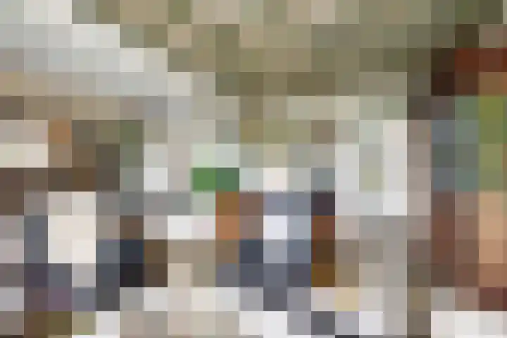 Oude Appelaarsedijk 2 Fijnaart thumbnail 11