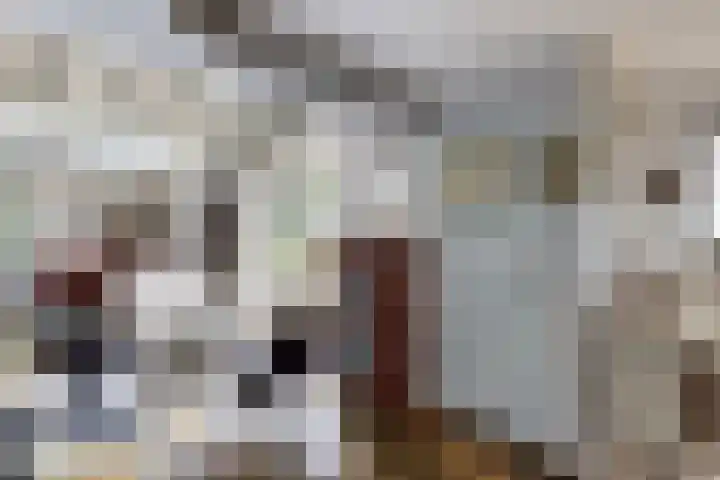Oude Appelaarsedijk 2 Fijnaart thumbnail 12