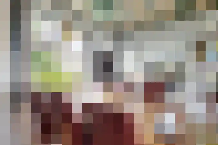 Oude Appelaarsedijk 2 Fijnaart thumbnail 15
