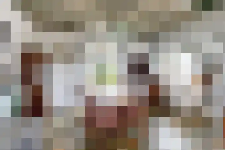 Oude Appelaarsedijk 2 Fijnaart thumbnail 16