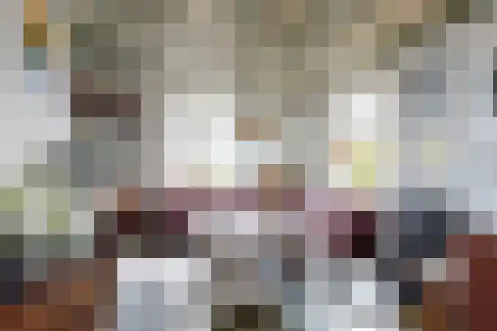 Oude Appelaarsedijk 2 Fijnaart thumbnail 18