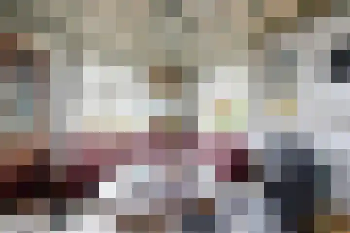 Oude Appelaarsedijk 2 Fijnaart thumbnail 19