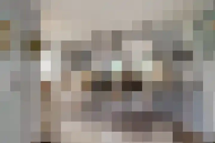 Oude Appelaarsedijk 2 Fijnaart thumbnail 22