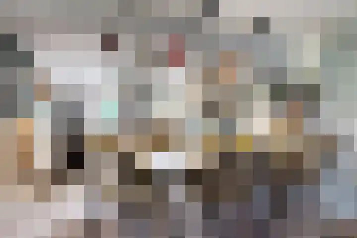 Oude Appelaarsedijk 2 Fijnaart thumbnail 23