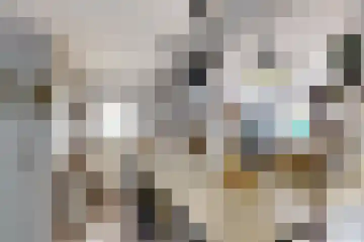 Oude Appelaarsedijk 2 Fijnaart thumbnail 24