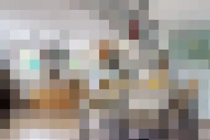 Oude Appelaarsedijk 2 Fijnaart thumbnail 25