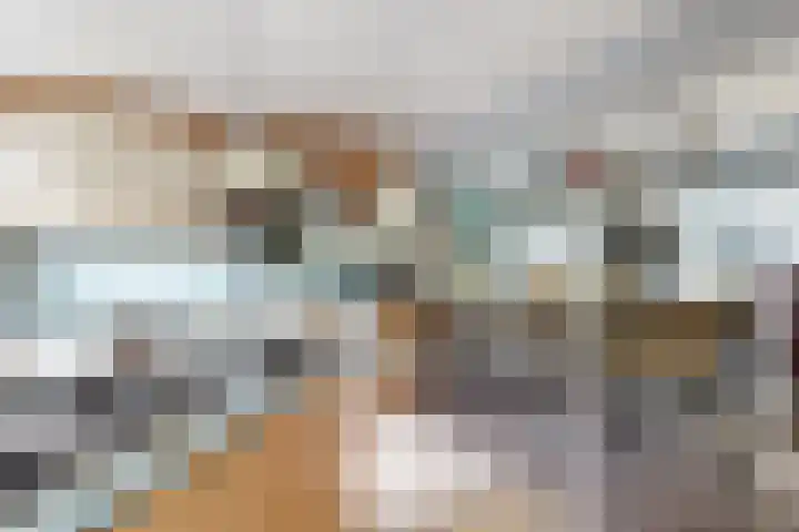 Oude Appelaarsedijk 2 Fijnaart thumbnail 27