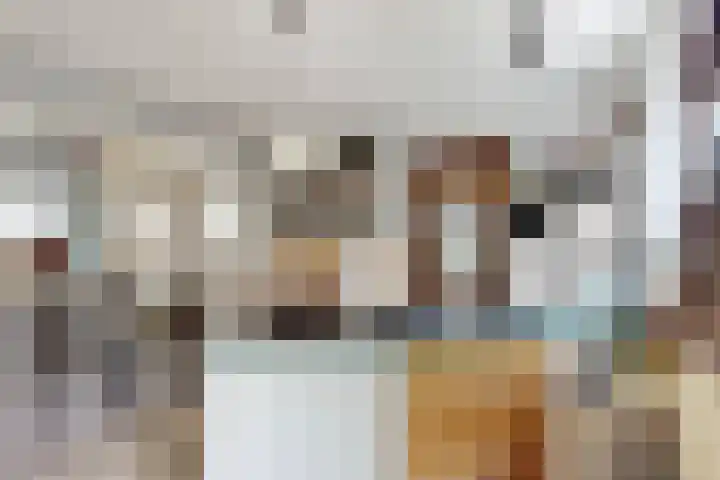 Oude Appelaarsedijk 2 Fijnaart thumbnail 28