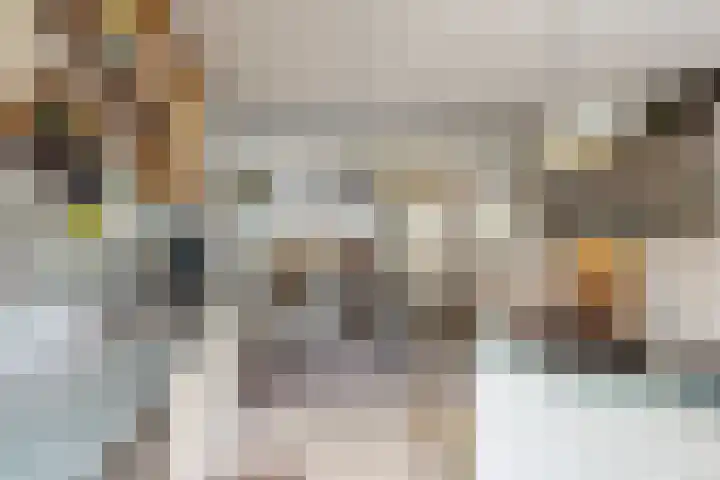 Oude Appelaarsedijk 2 Fijnaart thumbnail 29