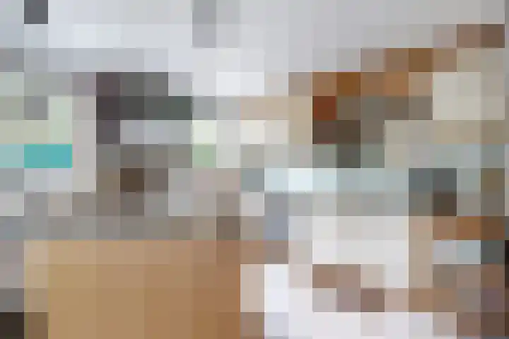 Oude Appelaarsedijk 2 Fijnaart thumbnail 30