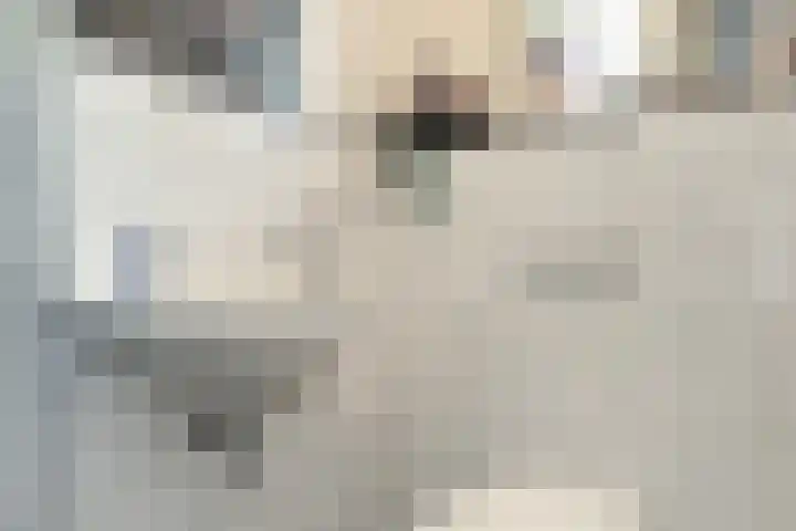 Oude Appelaarsedijk 2 Fijnaart thumbnail 31