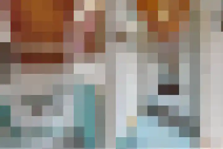 Oude Appelaarsedijk 2 Fijnaart thumbnail 33