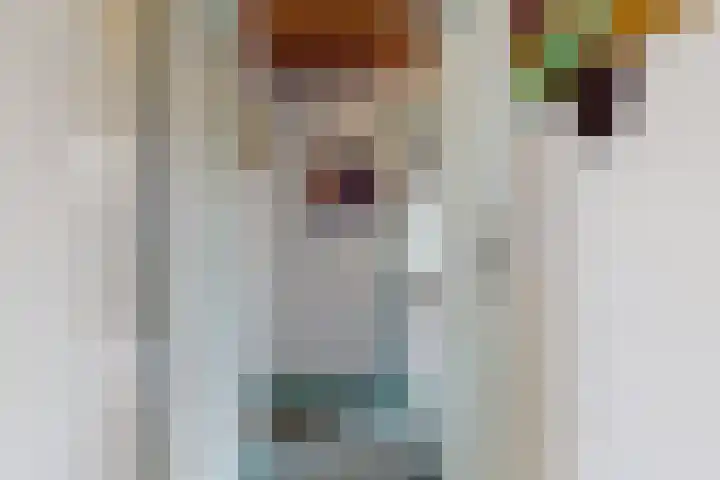 Oude Appelaarsedijk 2 Fijnaart thumbnail 34