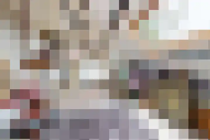 Oude Appelaarsedijk 2 Fijnaart thumbnail 35