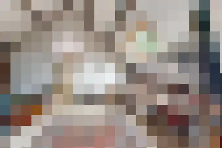 Oude Appelaarsedijk 2 Fijnaart thumbnail 37