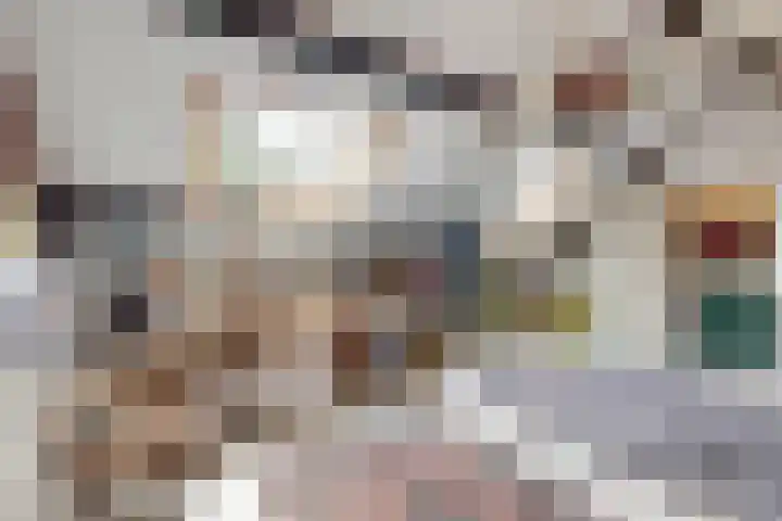 Oude Appelaarsedijk 2 Fijnaart thumbnail 40