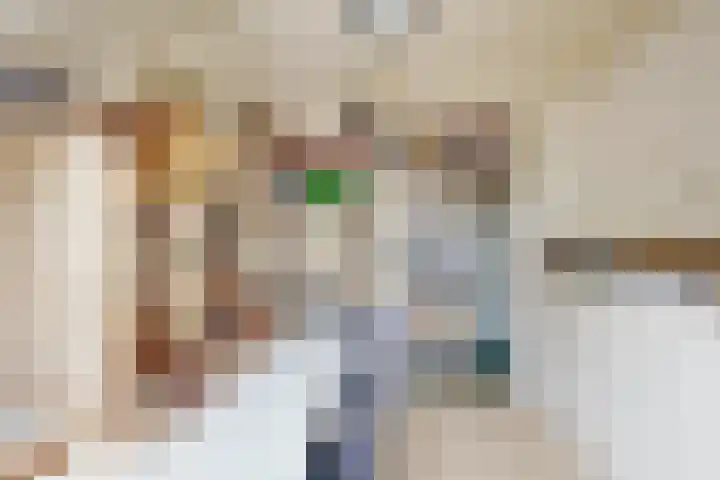 Oude Appelaarsedijk 2 Fijnaart thumbnail 41