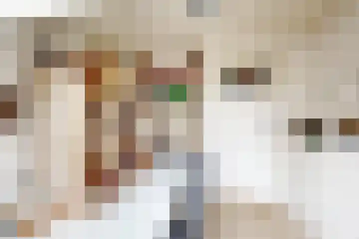 Oude Appelaarsedijk 2 Fijnaart thumbnail 42