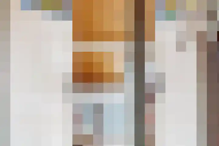 Oude Appelaarsedijk 2 Fijnaart thumbnail 47