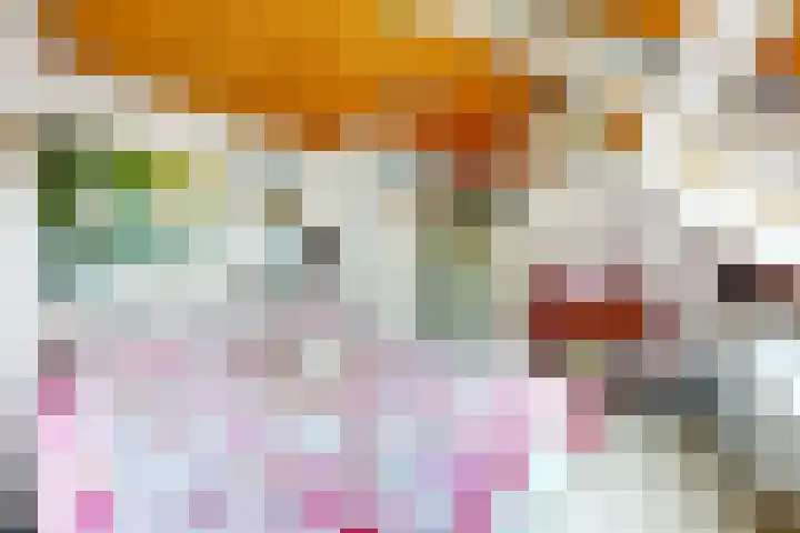 Oude Appelaarsedijk 2 Fijnaart thumbnail 48