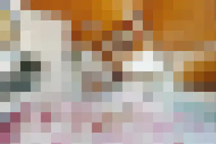 Oude Appelaarsedijk 2 Fijnaart thumbnail 49
