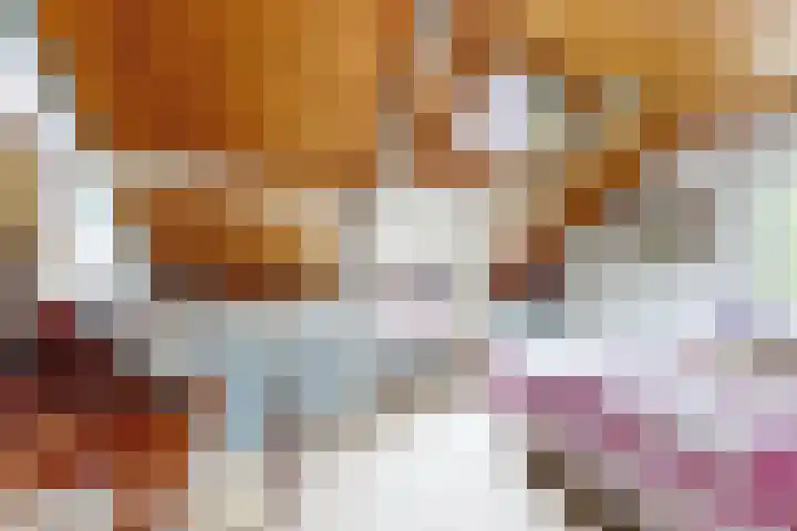 Oude Appelaarsedijk 2 Fijnaart thumbnail 50