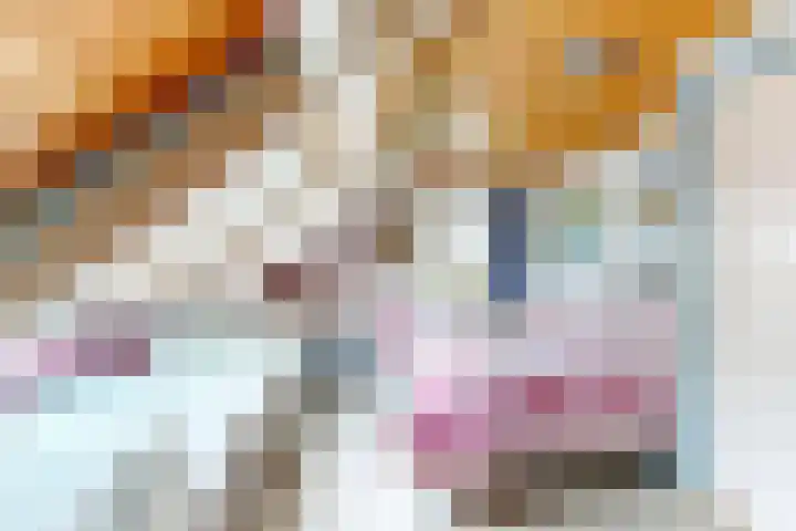 Oude Appelaarsedijk 2 Fijnaart thumbnail 51