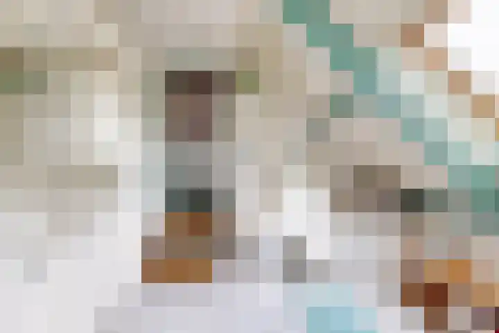 Oude Appelaarsedijk 2 Fijnaart thumbnail 57