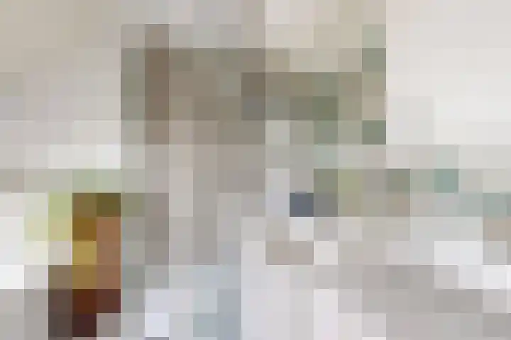 Oude Appelaarsedijk 2 Fijnaart thumbnail 58