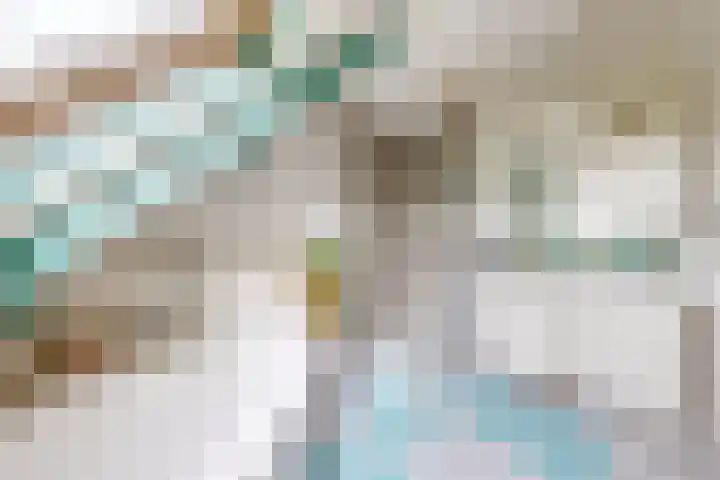 Oude Appelaarsedijk 2 Fijnaart thumbnail 6