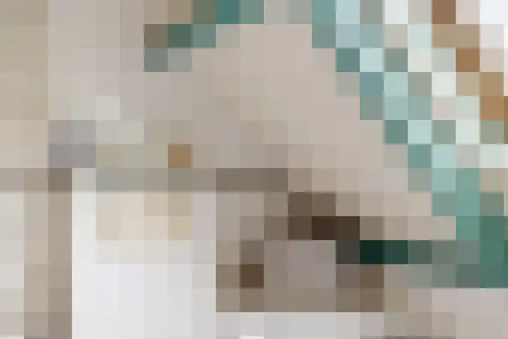 Oude Appelaarsedijk 2 Fijnaart thumbnail 61