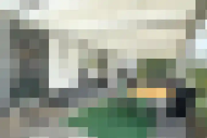 Oude Appelaarsedijk 2 Fijnaart thumbnail 63