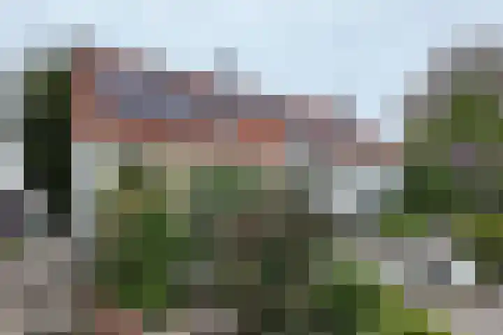 Oude Appelaarsedijk 2 Fijnaart thumbnail 64