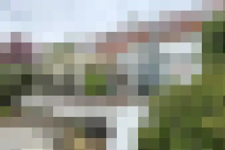 Oude Appelaarsedijk 2 Fijnaart thumbnail 65