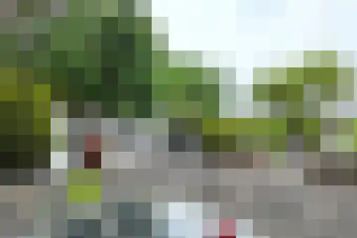 Oude Appelaarsedijk 2 Fijnaart thumbnail 67