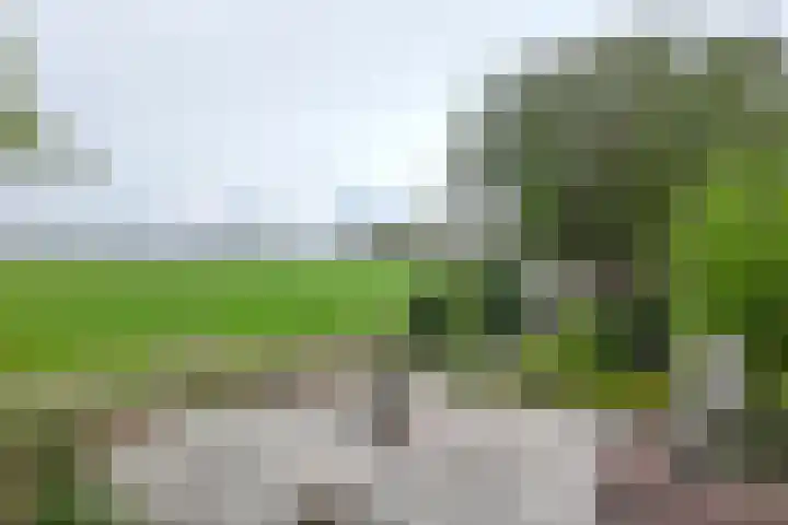 Oude Appelaarsedijk 2 Fijnaart thumbnail 68