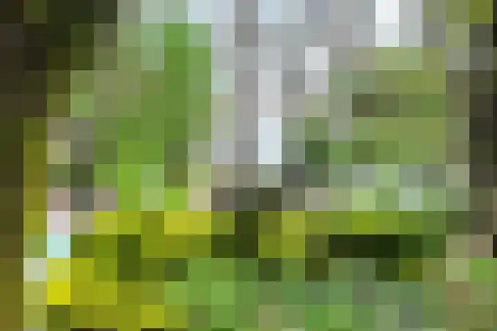 Oude Appelaarsedijk 2 Fijnaart thumbnail 69