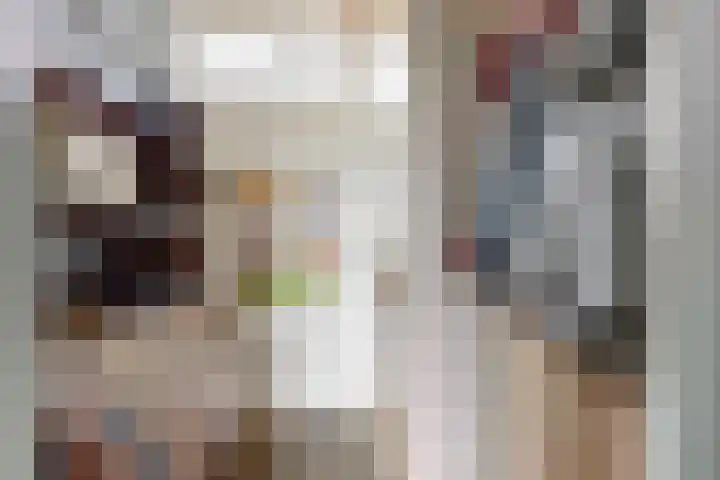 Oude Appelaarsedijk 2 Fijnaart thumbnail 7