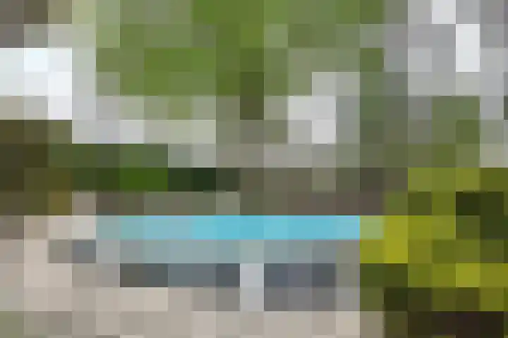 Oude Appelaarsedijk 2 Fijnaart thumbnail 70