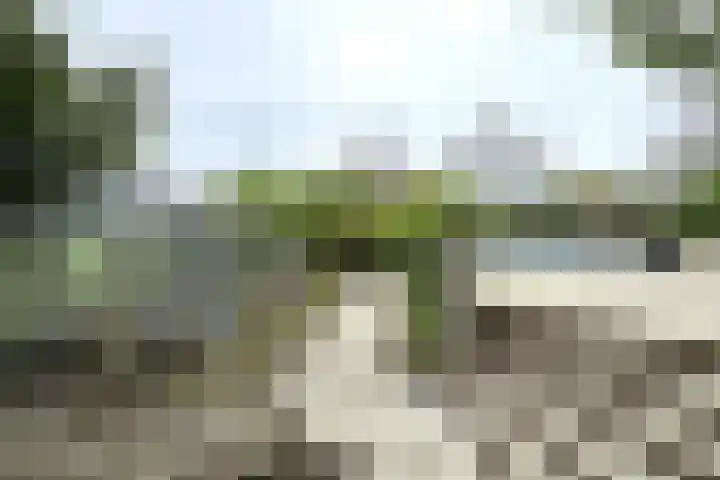 Oude Appelaarsedijk 2 Fijnaart thumbnail 73