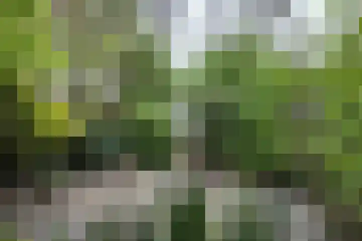 Oude Appelaarsedijk 2 Fijnaart thumbnail 76