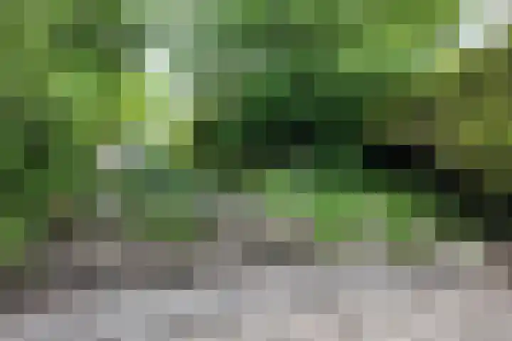 Oude Appelaarsedijk 2 Fijnaart thumbnail 77