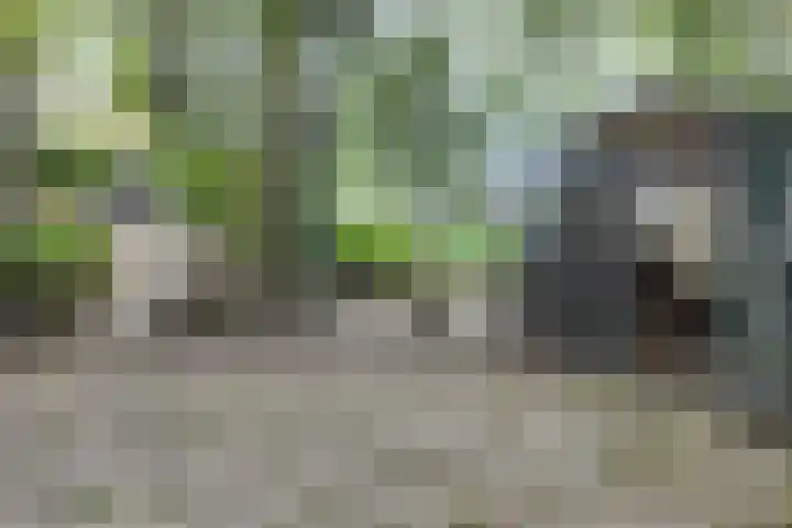Oude Appelaarsedijk 2 Fijnaart thumbnail 78