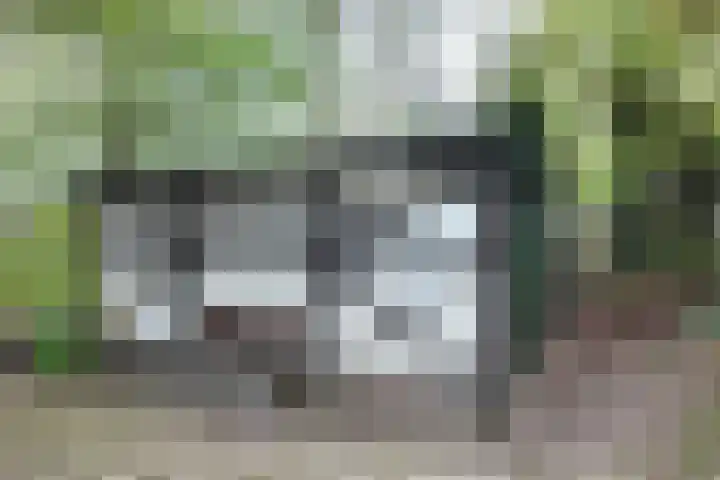 Oude Appelaarsedijk 2 Fijnaart thumbnail 79